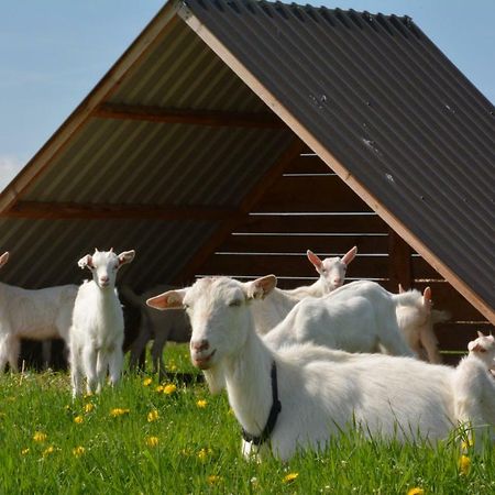 Willa Farma Klinec Zewnętrze zdjęcie