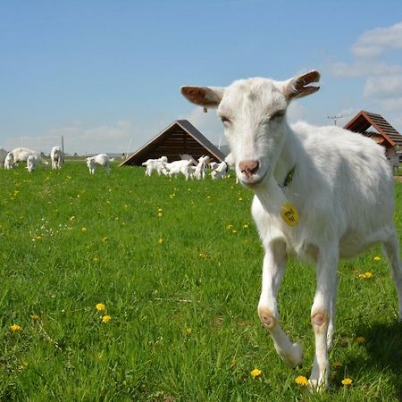 Willa Farma Klinec Zewnętrze zdjęcie